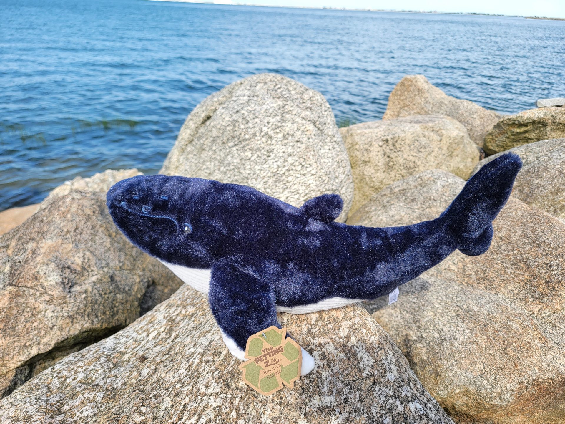 Humpback Stuffed Animals - Image 2
