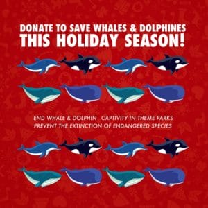 donate to save whales