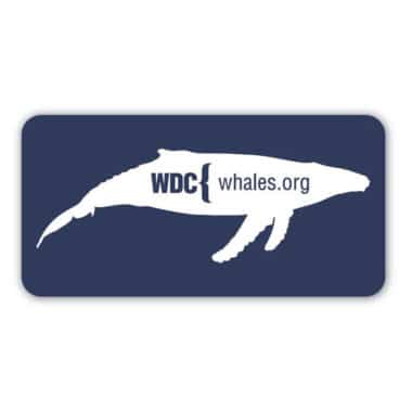 Shop to Save Whales | Charity Gift Shop | Whale & Dolphin Conservation