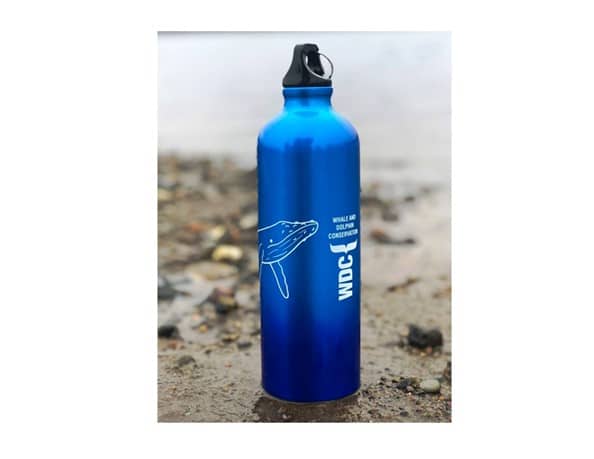 Metal Straw, Banboo Utensils, Water Bottle, Shop & Save Whales
