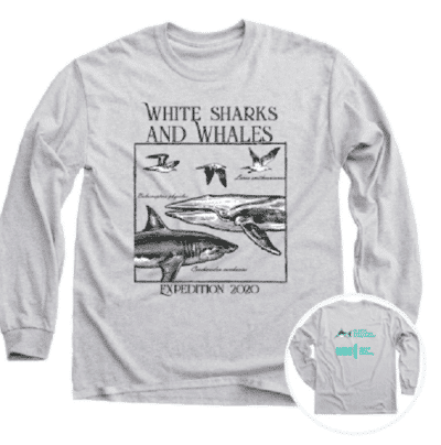 Shop to Save Whales | Charity Gift Shop | Whale & Dolphin Conservation