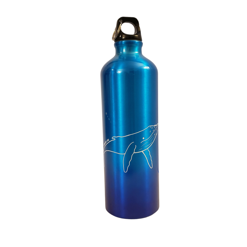 Nature is Therapy Aluminum Water Bottles