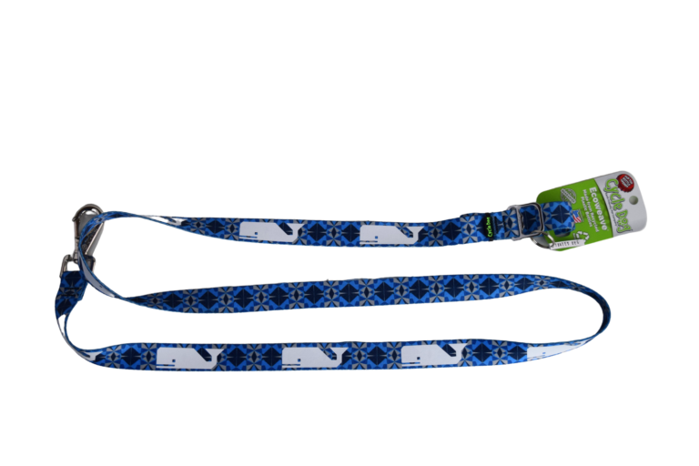 WDC Membership | Makes a Great Gift | Whale & Dolphin Conservation