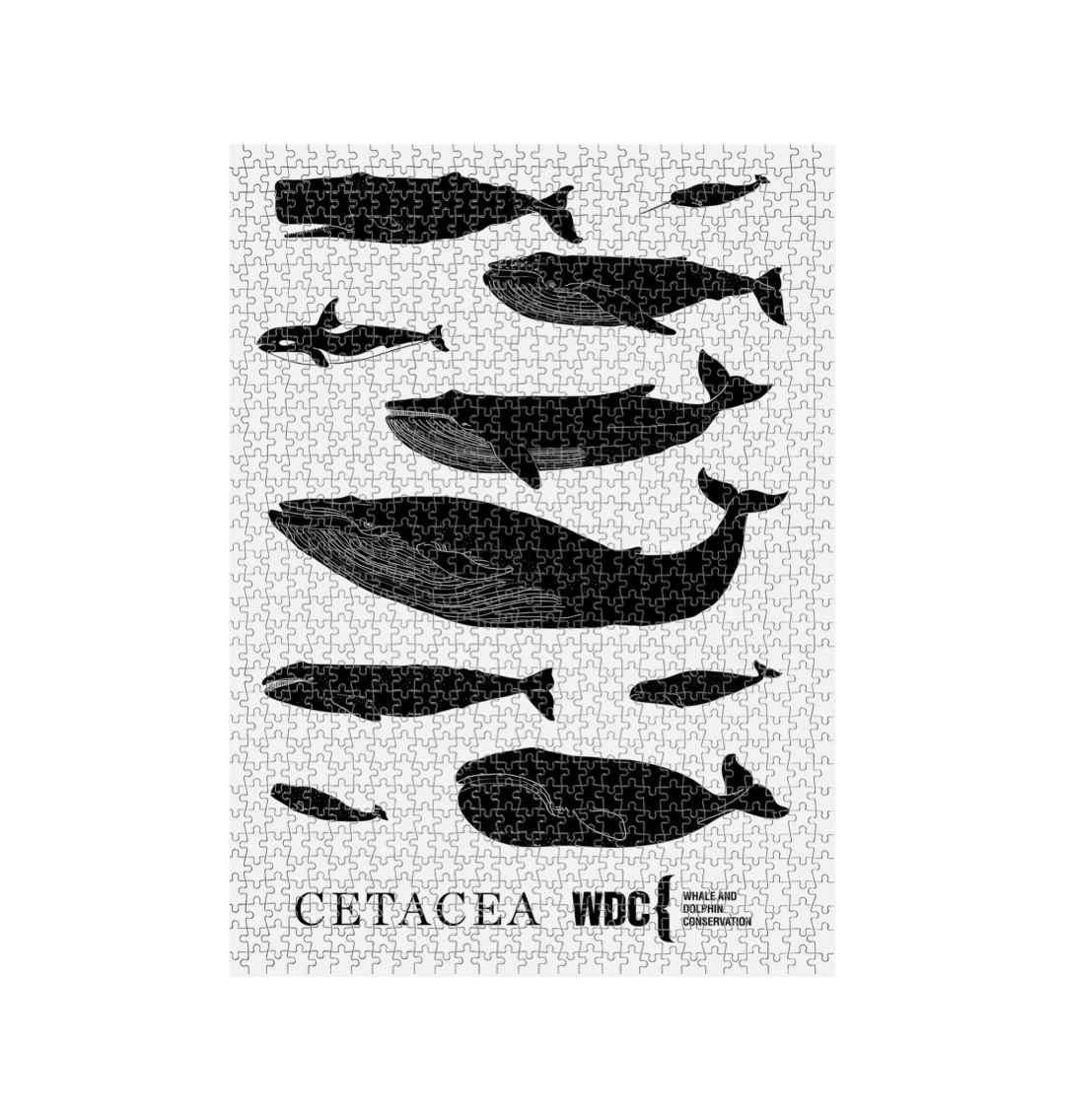 Whale Store Cetacea Puzzle