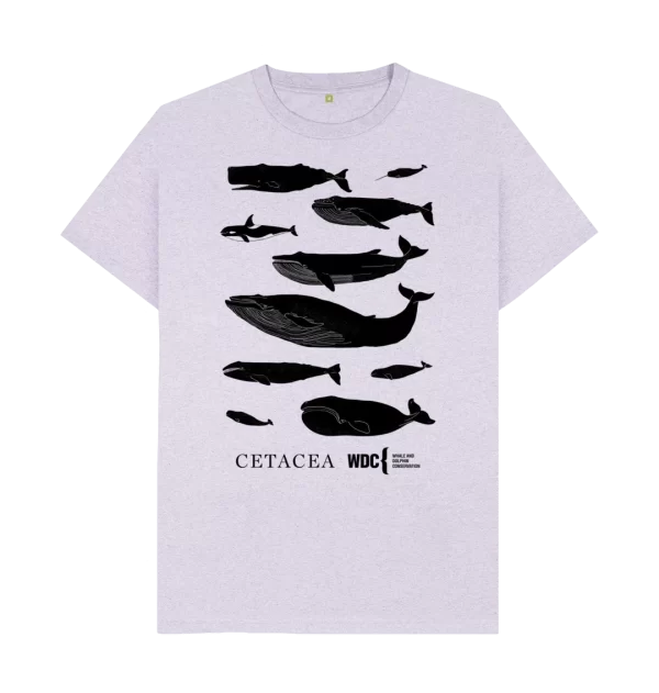 Whale Store Cetacea T-shirt