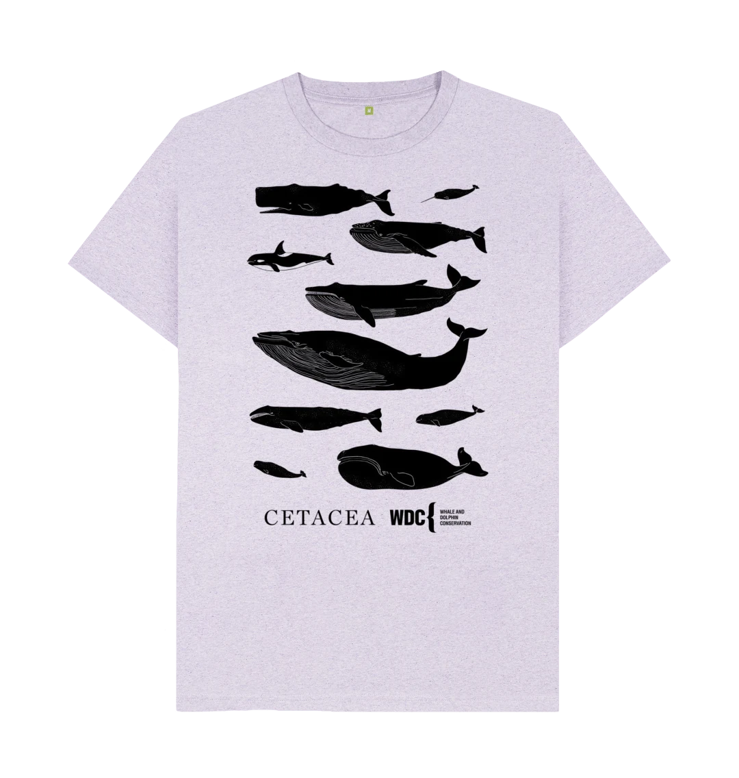 Whale Store Cetacea T-shirt