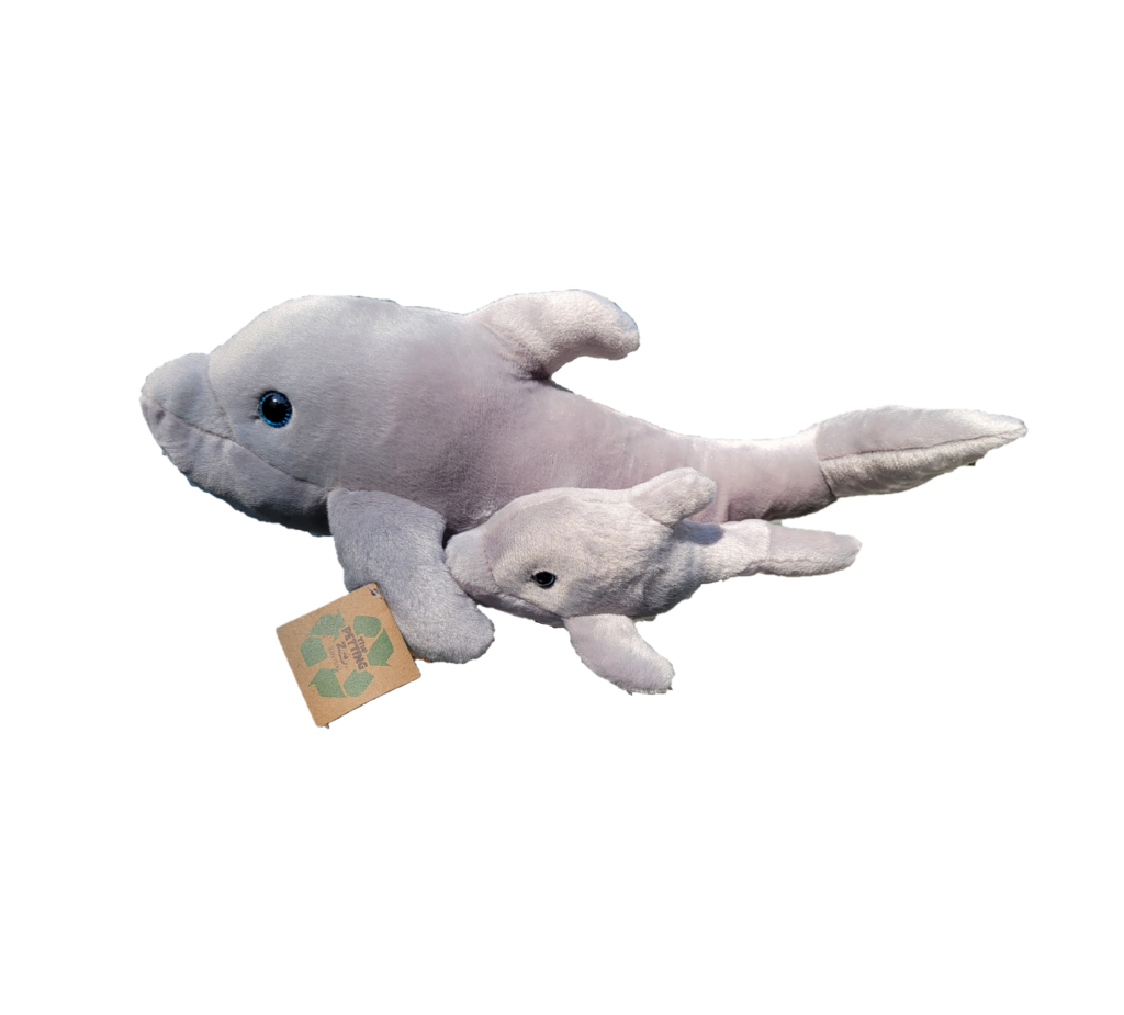 Dolphin Stuffed Animals | Whale and Dolphin Conservation