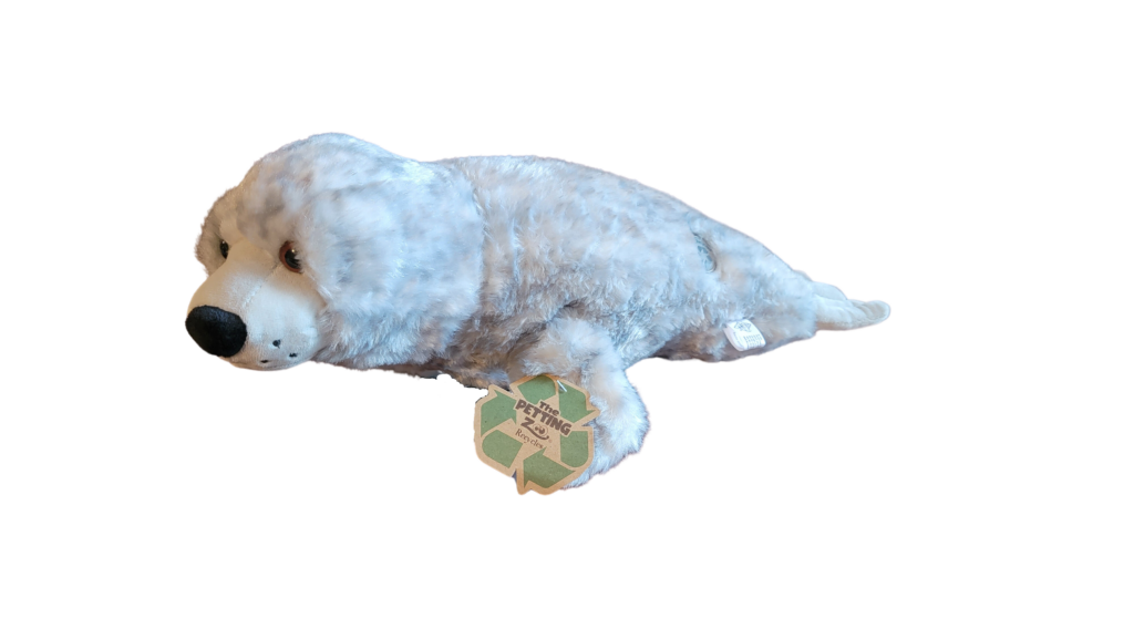 Dolphin Stuffed Animals | Whale and Dolphin Conservation