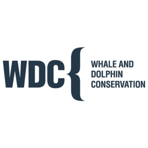 WDC Official Logo Collection