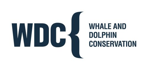 WDC Official Logo Collection