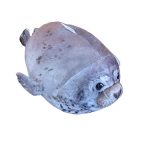 Click to add a MARR seal plush +$20.00