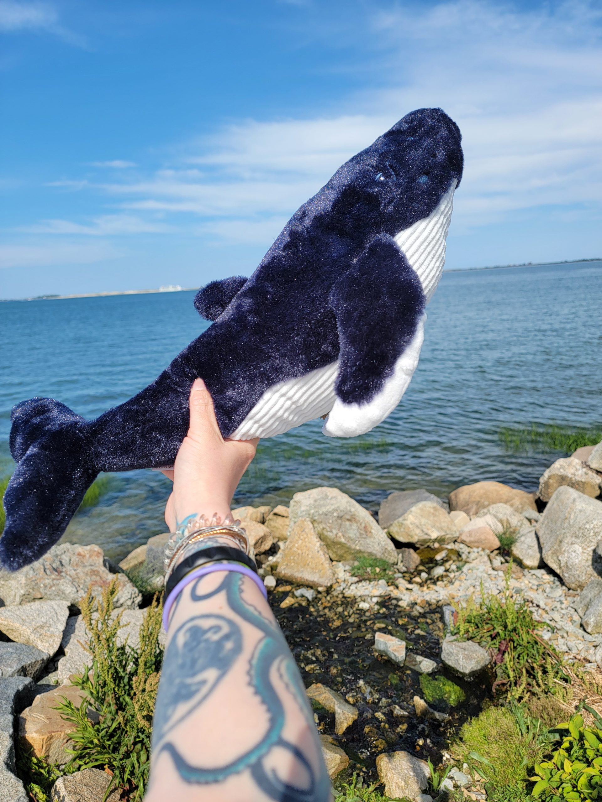 humpback plush doll