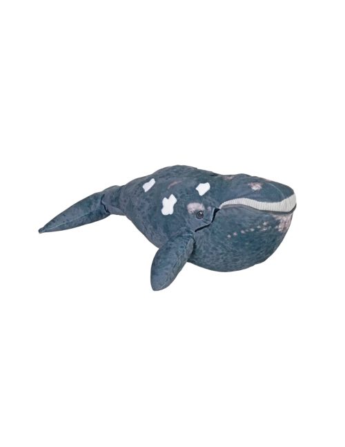 Right Whale Stuffed Animals